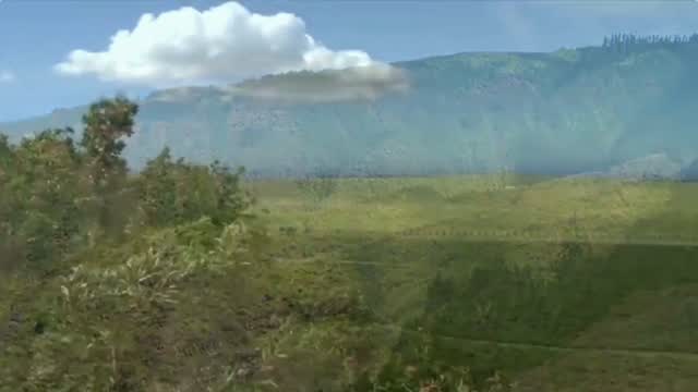 Lānaʻi, the sixth largest island in the Hawaiian archipelago. Long ago, Lānaʻi was once a part of Maui, Molokaʻi and Kahoʻolawe - connected by low-lying land bridges, all part of a shared ʻohana formed from the same volcanic heart. All were born of a single volcano some 1.5 million years ago, rising from the ocean to become a home for life and legends of lava-strewn landscapes, windswept ridges and storied shorelines. We’re all connected.
Interested in learning more? Click the link in our bio to read about more of Lānaʻi's history.