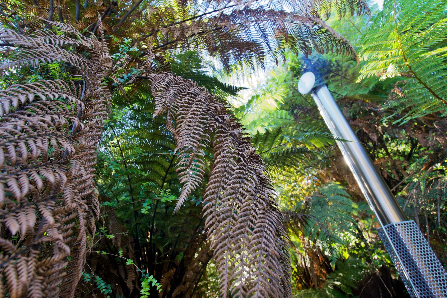 There is no better way to start a day in @glaciercountrynz than @waihohottubs (or end it, or pop in midday, doesn’t matter)…
Each and every time we visit this magical spot on the @westcoastnewzealand @waihohottubs is a non-negotiable for us. Tucked away in Franz Josef, these private cedar hot tubs sit beside the gentle flow of the Waiho River, surrounded by native bush and stillness.
Sink into the perfectly heated water, look up through the canopy, and everything slows down.
What makes it even more special is how simple and personal it is. Each tub is private, beautifully maintained, and thoughtfully designed to let you fully switch off and soak it all in. Whether you’ve spent the day exploring the glaciers, hiking, or just driving the coast, this is the reset your body and mind didn’t know it needed.
It’s calm. It’s grounding. And it’s something we’ll keep coming back to, every single time.
Oh and throwing on your @stokednz towelies afterwards. A must!
#tasmantravels #waihohottubs #westcoast #glaciercountry #nzmustdo